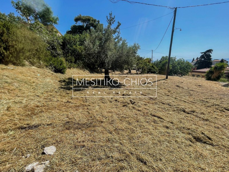 Οικόπεδο 2.728,88 τ.μ. προς πώληση, Ομηρούπολη