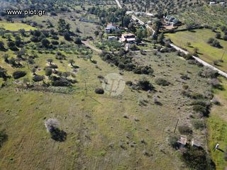Οικόπεδο 7.956 τ.μ. για πώληση, Αργολίδα, Ερμιόνη-thumb-2
