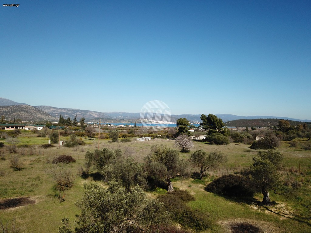 Οικόπεδο 7.956 τ.μ. πρός πώληση, Αργολίδα, Ερμιόνη