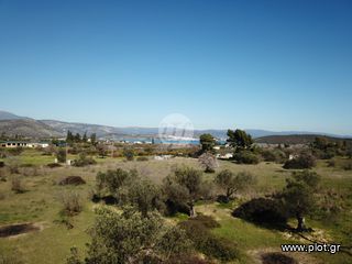 Οικόπεδο 7.956 τ.μ. για πώληση, Αργολίδα, Ερμιόνη-thumb-3