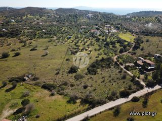 Οικόπεδο 7.956 τ.μ. για πώληση, Αργολίδα, Ερμιόνη-thumb-5