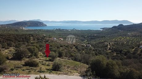 Οικόπεδο 4.066τ.μ. για πώληση-Ερμιόνη » Κινέτα