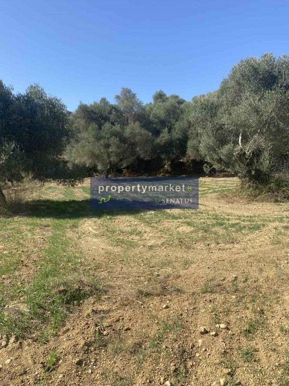 Οικόπεδο 1.000 τ.μ. πρός πώληση, Ν. Ρεθύμνου, Φοινίκας