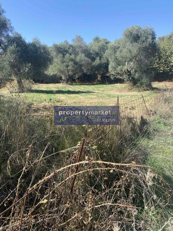 Οικόπεδο 1.000 τ.μ. πρός πώληση, Ν. Ρεθύμνου, Φοινίκας