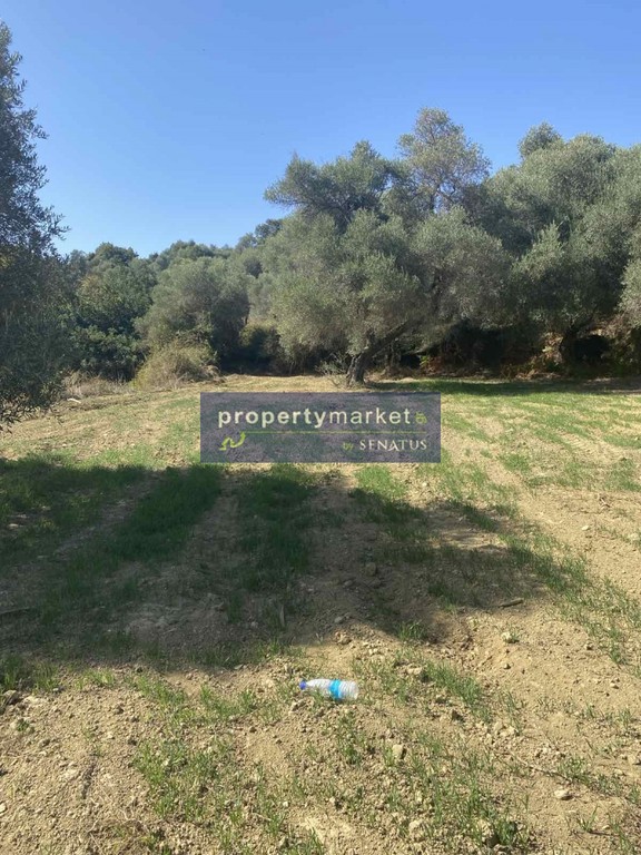 Οικόπεδο 1.000 τ.μ. πρός πώληση, Ν. Ρεθύμνου, Φοινίκας