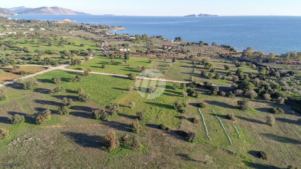 Οικόπεδο 5.400 τ.μ. πρός πώληση, Αργολίδα, Κρανίδι