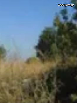 Οικόπεδο 706τ.μ. για πώληση-Γλυφάδα » Κάτω γλυφάδα
