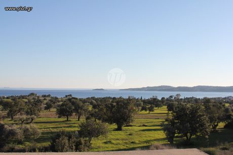 Μονοκατοικία 210 τ.μ. για πώληση