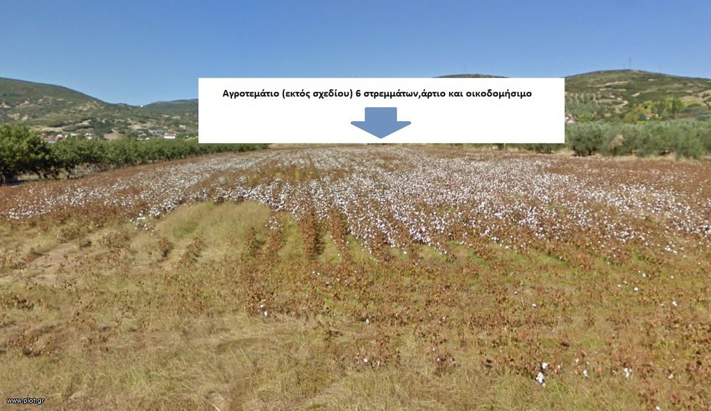 Αγροτεμάχια 6.000 τ.μ. προς πώληση, Αγριλιά Λαμίας