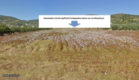 Parcel 6.000sqm for sale-Lamia » Agrilia