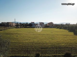 Οικόπεδο 4.035 τ.μ. για πώληση