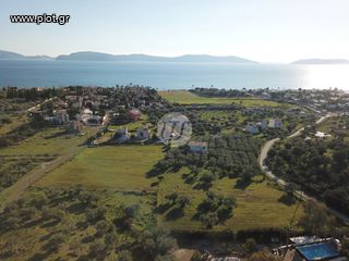 Οικόπεδο 4.035 τ.μ. για πώληση, Αργολίδα, Ερμιόνη-thumb-1