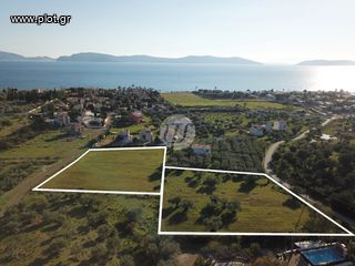 Οικόπεδο 4.035 τ.μ. για πώληση, Αργολίδα, Ερμιόνη-thumb-2