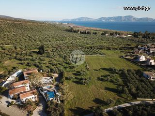 Οικόπεδο 4.035 τ.μ. για πώληση, Αργολίδα, Ερμιόνη-thumb-3