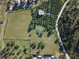 Οικόπεδο 4.035 τ.μ. για πώληση, Αργολίδα, Ερμιόνη-thumb-4