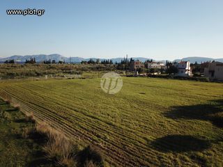 Οικόπεδο 4.035 τ.μ. για πώληση, Αργολίδα, Ερμιόνη-thumb-5