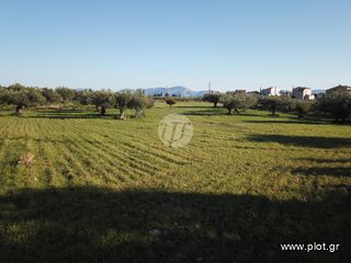 Οικόπεδο 4.035 τ.μ. για πώληση, Αργολίδα, Ερμιόνη-thumb-6