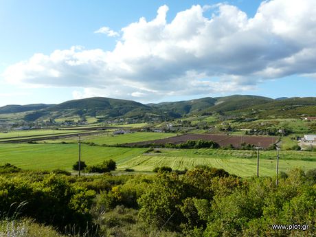 Parcel 20.000sqm for sale-Lamia » Agrilia