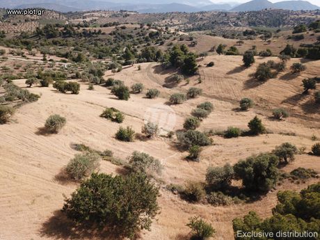 Οικόπεδο 44.616τ.μ. για πώληση-Κρανίδι » Δορούφι