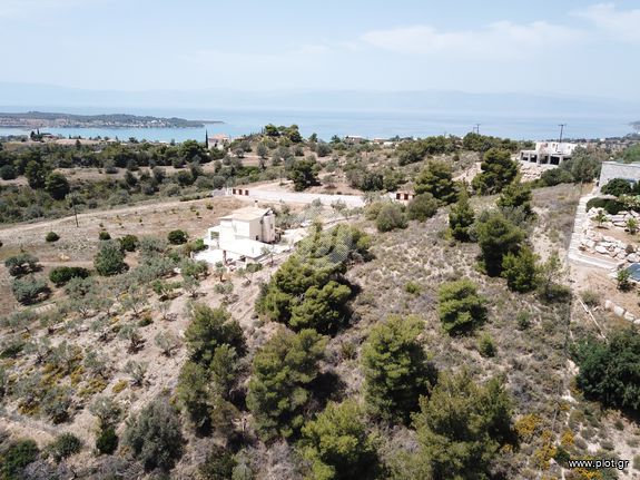 Οικόπεδο 4.256 τ.μ. για πώληση, Αργολίδα, Κρανίδι