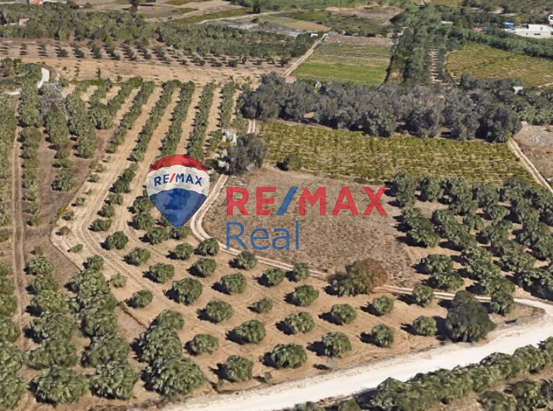 Οικόπεδο 8.053 τ.μ. προς πώληση, Σκαφιδαράς