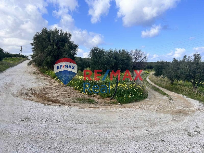 Οικόπεδο 8.053 τ.μ. προς πώληση, Σκαφιδαράς