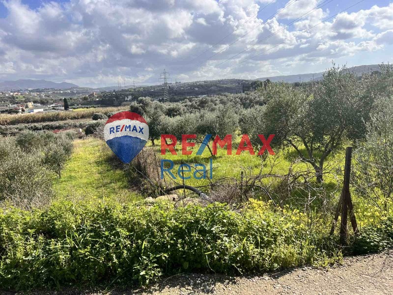 Οικόπεδο 8.053 τ.μ. προς πώληση, Σκαφιδαράς