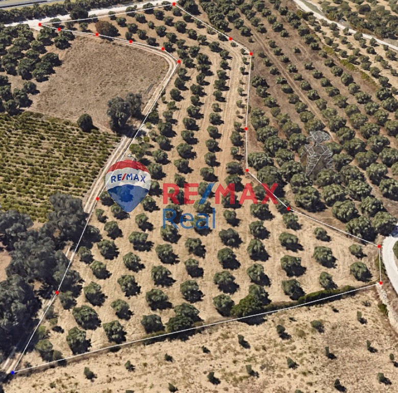 Οικόπεδο 8.053 τ.μ. προς πώληση, Σκαφιδαράς