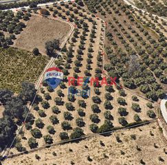 Οικόπεδο 8.053 τ.μ. για πώληση
