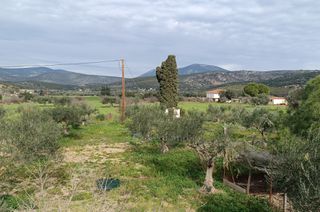 Μονοκατοικία 100 τ.μ. για πώληση, Αργολίδα, Κρανίδι-thumb-24