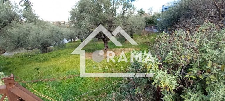 Land plot 1.000 sqm for sale, Achaia, Patra