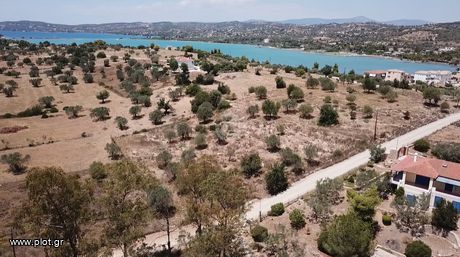Οικόπεδο 6.016τ.μ. για πώληση-Κρανίδι » Πορτοχέλι