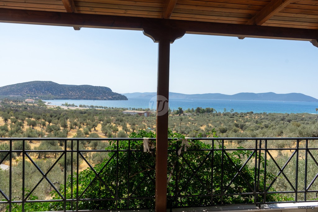 Μονοκατοικία 125 τ.μ. προς πώληση, Αχλαδίτσα