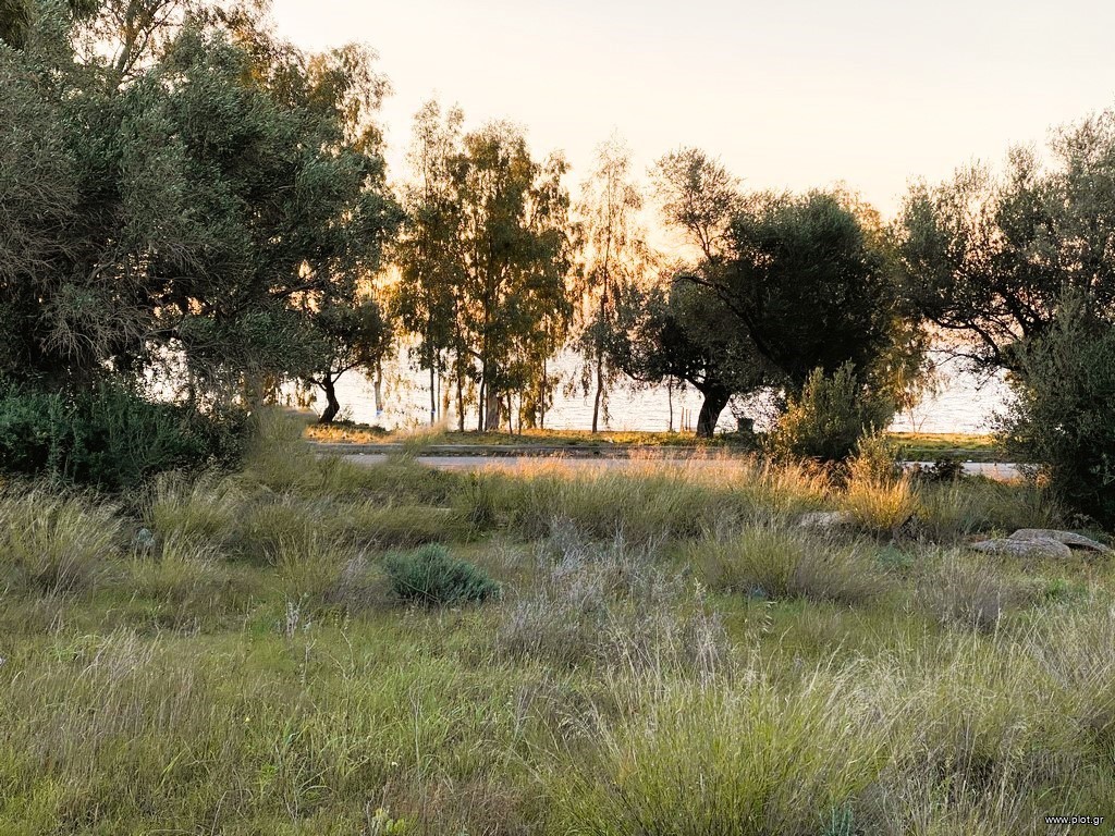 Οικόπεδο 955 τ.μ. προς πώληση, Νέα Πέραμος Αττικής