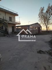 Αποθήκη 260 τ.μ. πρός ενοικίαση, Αχαΐα, Πάτρα-thumb-5