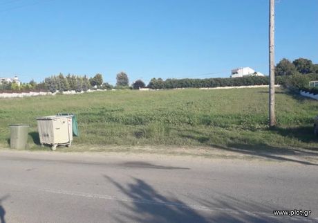 Αγροτεμάχια 7.000τ.μ. για πώληση-Κασσάνδρα » Σανή