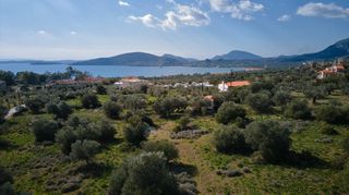 Οικόπεδο 2.075 τ.μ. πρός πώληση, Αργολίδα, Ερμιόνη-thumb-4