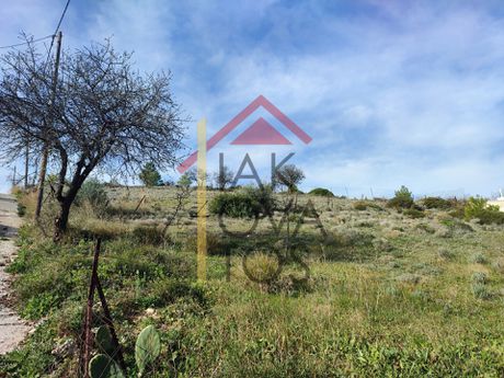 Αγροτεμάχια 548τ.μ. για πώληση-Κορωπί