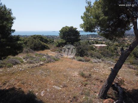 Οικόπεδο 4.050 τ.μ. για πώληση