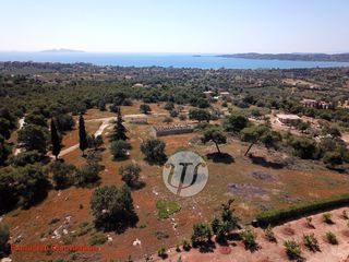 Οικόπεδο 4.050 τ.μ. για πώληση, Αργολίδα, Κρανίδι-thumb-1