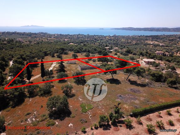 Οικόπεδο 4.050 τ.μ. για πώληση, Αργολίδα, Κρανίδι