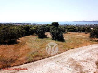 Οικόπεδο 4.050 τ.μ. για πώληση, Αργολίδα, Κρανίδι-thumb-6
