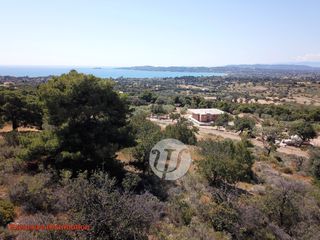 Οικόπεδο 4.050 τ.μ. για πώληση, Αργολίδα, Κρανίδι-thumb-3