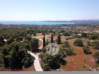 Οικόπεδο 4.050 τ.μ. για πώληση, Αργολίδα, Κρανίδι-thumb-8