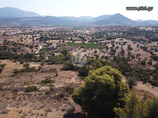 Οικόπεδο 13.790 τ.μ. για πώληση, Αργολίδα, Κρανίδι-thumb-2