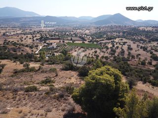 Οικόπεδο 13.790 τ.μ. για πώληση, Αργολίδα, Κρανίδι-thumb-3