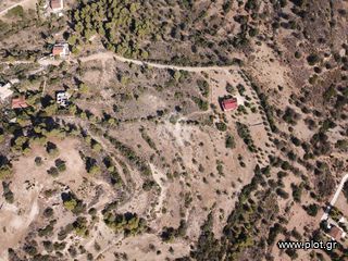 Οικόπεδο 13.790 τ.μ. για πώληση, Αργολίδα, Κρανίδι-thumb-4