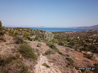 Οικόπεδο 13.790 τ.μ. για πώληση, Αργολίδα, Κρανίδι-thumb-6