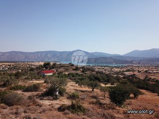 Οικόπεδο 13.790 τ.μ. για πώληση, Αργολίδα, Κρανίδι-thumb-7