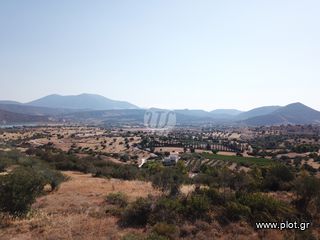 Οικόπεδο 13.790 τ.μ. για πώληση, Αργολίδα, Κρανίδι-thumb-8